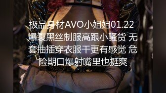 极品身材AVO小姐姐01.22 爆裂黑丝制服高跟小骚货 无套抽插穿衣服干更有感觉 危险期口爆射嘴里也挺爽