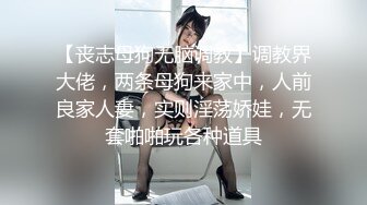 【丧志母狗无脑调教】调教界大佬，两条母狗来家中，人前良家人妻，实则淫荡娇娃，无套啪啪玩各种道具