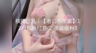 核弹巨乳！【老公不在家】12月最新付费(2)圣诞福利3