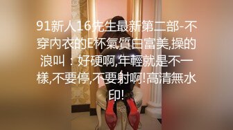 91新人16先生最新第二部-不穿內衣的E杯氣質白富美,操的浪叫：好硬啊,年輕就是不一樣,不要停,不要射啊!高清無水印!