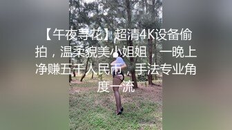 【午夜寻花】超清4K设备偷拍，温柔貌美小姐姐，一晚上净赚五千人民币，手法专业角度一流