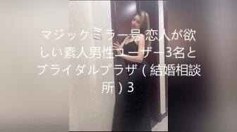 マジックミラー号 恋人が欲しい素人男性ユーザー3名とブライダルプラザ（結婚相談所）3