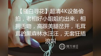 【骚白寻花】超清4K设备偷拍，老相好小姐姐约出来，相拥舌吻，高跟美腿岔开，毛茸茸的黑森林水汪汪，无套狂插浪叫