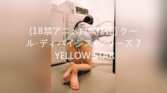 (18禁アニメ) (無修正) クール･ディバイシス･シリーズ 7 YELLOW STAR