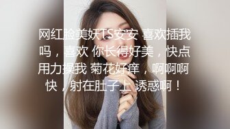 网红脸美妖TS安安 喜欢插我吗，喜欢 你长得好美，快点用力操我 菊花好痒，啊啊啊 快，射在肚子上 诱惑啊！