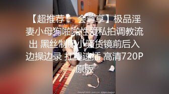 【超推荐❤️会尊享】极品淫妻小母狗啪啪性爱私拍调教流出 黑丝制服小骚货镜前后入边操边录 扛腿速插 高清720P原版